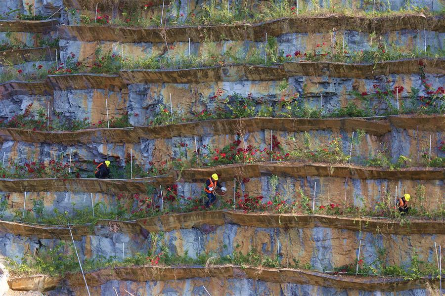 Z6��������ʱ(�й�)-�ٷ���վ